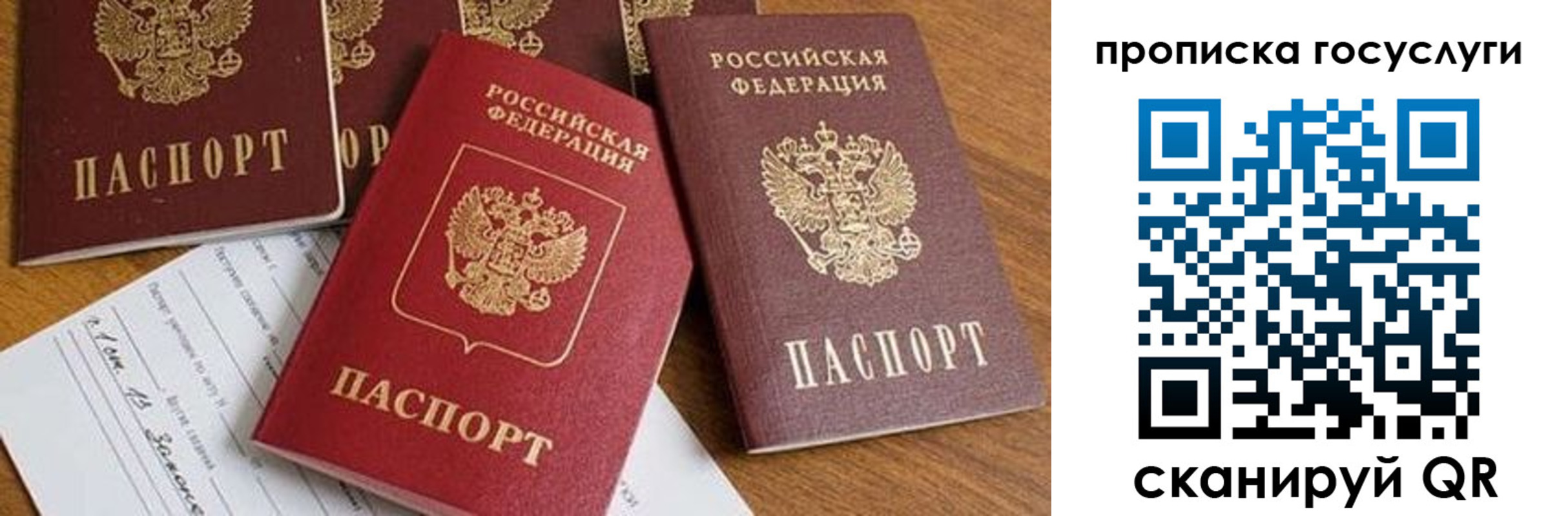 прописка в Тамбове